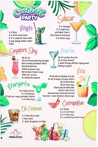 Perlotus Kokteyl Shaker Jigger Mojito Tokmak Bar Kaşığı Kokteyl Tarifleri Seti Kutusunda