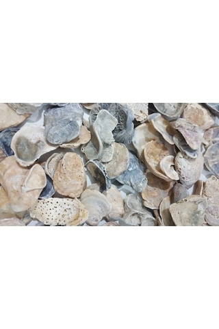 Emilysamy Yamuk Deniz Kabuğu 250 G