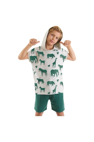 Denokids Mshb&g Animals Erkek Çocuk T-shirt Şort Takım Çok Renkli