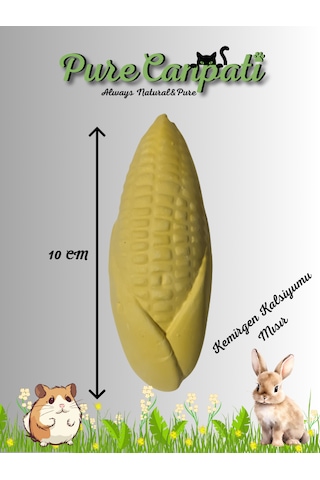 Purecanpati Kemirgen Kalsiyumu Mısır