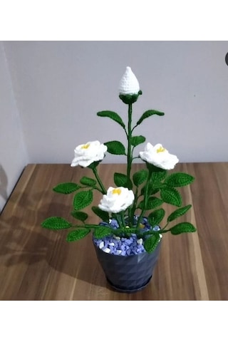 El Örgüsü Saksıda Gül Beyaz