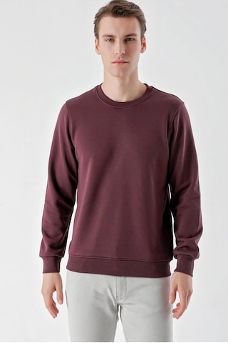 Slimfit Bisiklet Yaka Düz Renk 2 İplik Erkek Sweatshirt 001