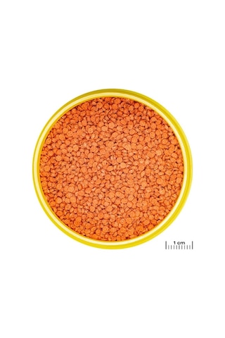 Jbl Pro Novo Bits Grano Medium 2640 Gr / 5,5 L Kova Yem