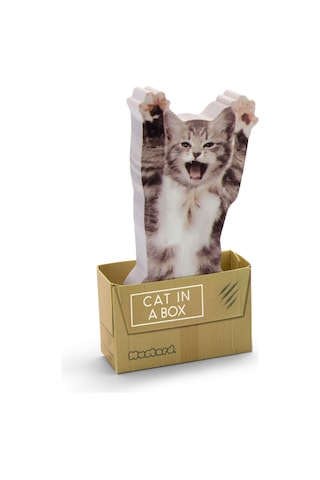 Mustard Cat İn A Box Yapışkanlı Not Kağıdı