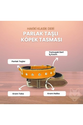 100 Gr Gammarus Kaplumbağa Yemi