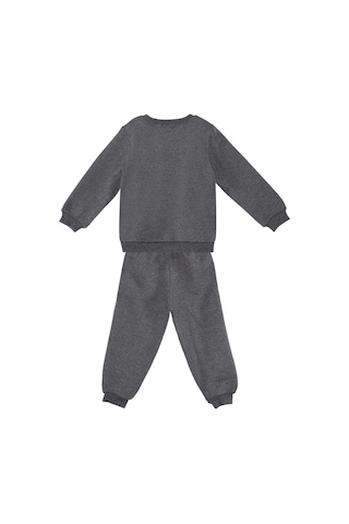 Denokids Kedi Erkek Bebek Eşofman Takım - Koyu Gri