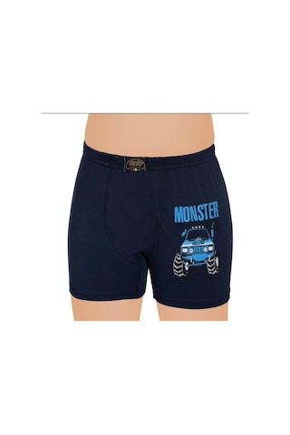 Gümüş 12'li Erkek Çocuk Boxer Karışık Renk Desen-3110 Çok Renkli