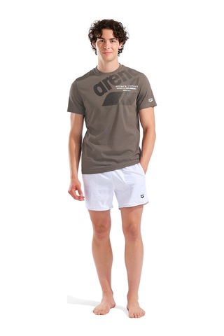 Arena Logo Erkek Kahverengi Günlük Stil T-shirt 011000250