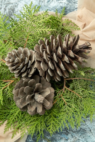 Natural Kozalak