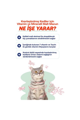 Biofeline Kısır Kediler İçin Malt Macun 100 G