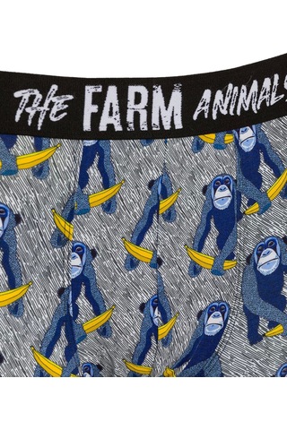 Farm Animals Monkey Banana Bue Desenli Boxer Çok Renkli