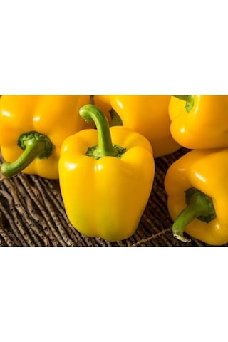 Mix Sarı Dolma Biber 10 Tohum Kornişon Hıyar 100 Tohum Bahçevilya