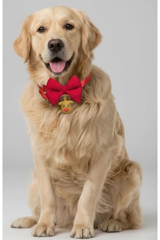 Yılbaşı Geyiği Köpek Papyon Tasması Kırmızı Fiyonk Boyun Aksesuarı Noel Temalı Köpek Süsü Orta Ve Büyük Irklar İçin