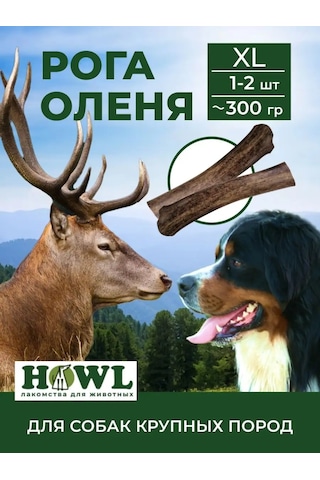Howl Xl 280-320 Gr Geyik Boynuzları Oyuncağı 160280699