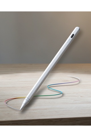 Üniversal Kalem Kapasitif Ekran 165mm Type-c Usb Şarjlı Standart