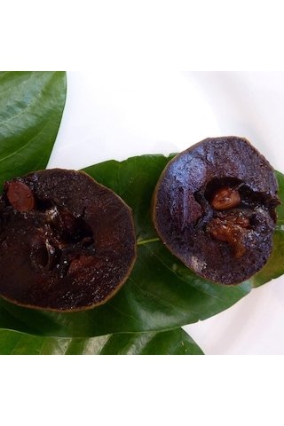 Black Sapote Tüplü Çikolata Meyvesi Fidanı