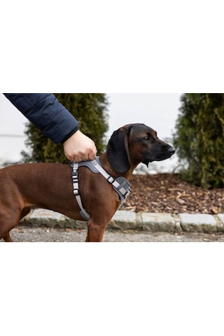 Y Tipi Spor Köpek Göğüs Tasması 20 Mm 38-62 / 58-74 Cm - Fitty Serisi - M Gri