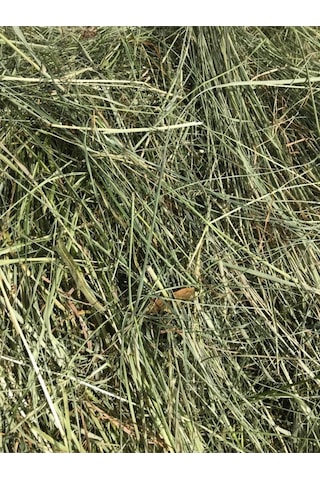 Çayır Otu Taze Yeşil ve Kuru Kemirgen Otu 2 KG