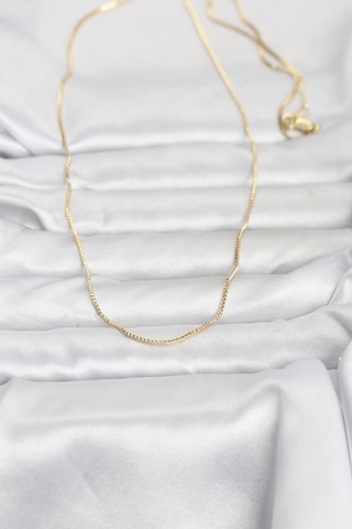Cm 14k Gold Renk İnce Kare Zincirli Model 60 Cm Kadın Kolye Çok Renkli