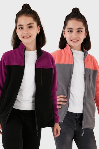 Lela Yumuşak Dokulu Fermuarlı Renk Bloklu Dik Yaka Cepli 2'Li Paket Hırka Çocuk Polar 5905001S2 Mor Siyah-Somon Gri