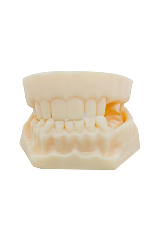 Barışhan Medikal Silikon Çene Diş Dikiş Modeli Ortodontik Alt Üst Çene Periodontal Sütür Eğitim Modeli-1