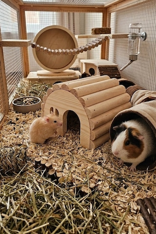 Hamster Evi Doğal Ahşap El Yapımı Hamster Yuvası