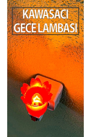 Nostaljik Gece Lambası Kendinden Fişli Çıt Çıt Anahtarlı 7 Watt Ampullü Çiçek Model Kırmızı