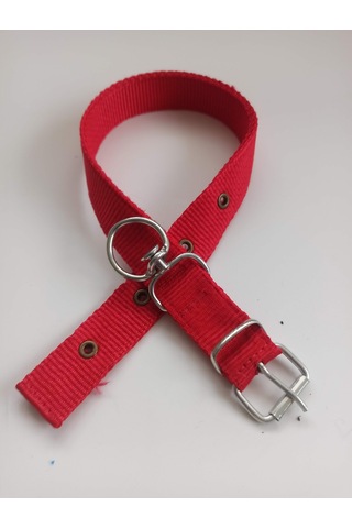 Kozaklı Orta Irk Köpek Tasması Kırmızı 60 x 3 CM