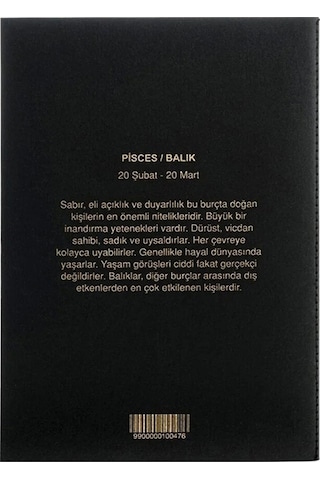 Balık Burcu Yıldız Haritası Defter