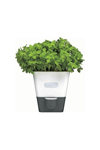 Cole & Mason H105249 Yeşillik Saklama Kabı Çok Renkli