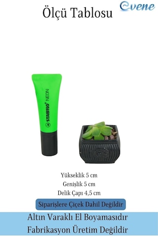 Mini Çiçek Saksı Küçük Sukulent Kaktüs Saksısı 3'lü Set Mini Çizgili Çiçekli Model - Siyah