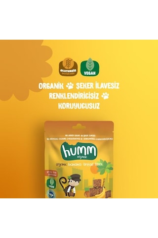 Organik Glutensiz Vegan Muzlu Kek 30 Gr
