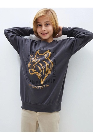 Aslan Desenli Erkek Çocuk Sweatshirt Füme