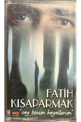 Plak Değildir Kaset Tir Fatih Kısaparmak Vay Benim Hayallerim K