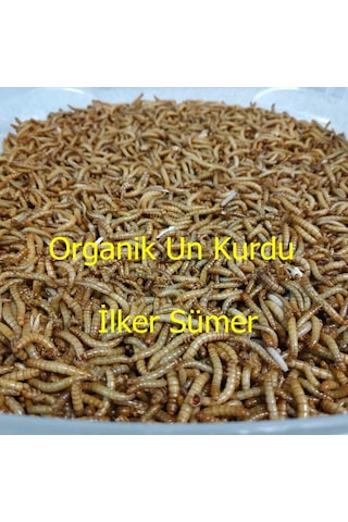Un Kurdu 150 Gram