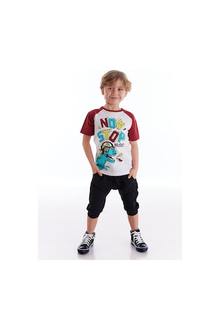 Denokids Mushi Dino Music Erkek Çocuk Kapri Takım Çok Renkli