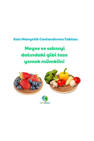 Manyetik Su Canlandırma Tablası