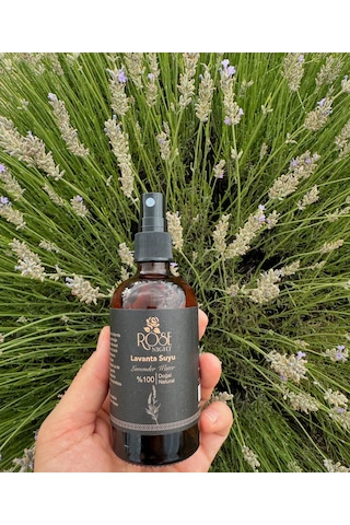 Rose Night Lavanta Yağlı Lavanta Suyu 100 ML