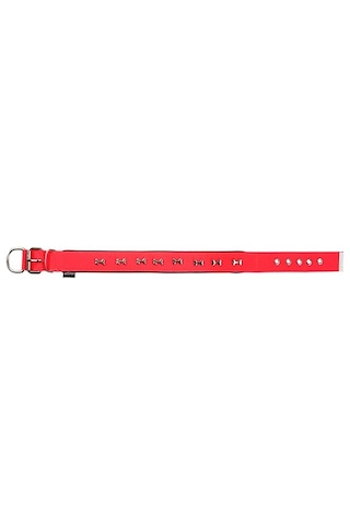 Actirex Neon Kemik Desenli Köpek Boyun Tasması Pembe M 2.5 x 42 - 50 Pembe