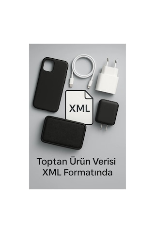 Online Çıktı Hizmeti/xml 1 Yıllık