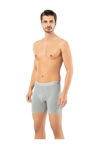 Erdem Erkek Pamuk Elastan Uzun Boxer 1470 - 6 Adet Gri