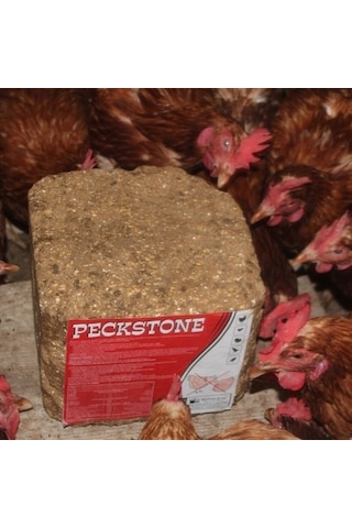 Peckstone 10 kg gagalama taşı