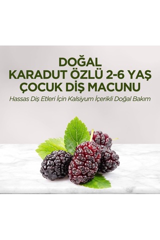 Eyüp Sabri Tuncer Doğal Karadut Özlü Çocuk Diş Macunu 2-6 Yaş 60 ML