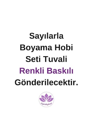 Renkli Baskılı Sayılarla Boyama Hobi Seti Çerçeveli 50x65 Cm: Asil Atlar