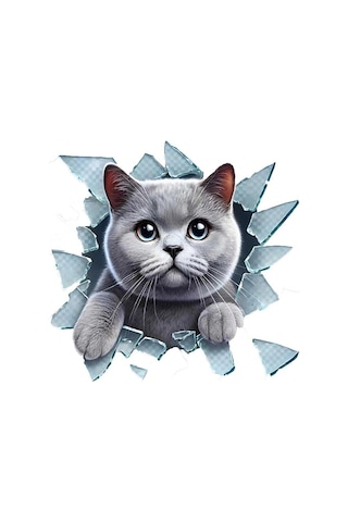 Fulcar British Araç Stickerı Diğer