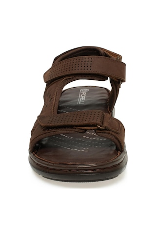 Forelli 40526-m Bruce Kahverengi Erkek Sandalet Kahverengi