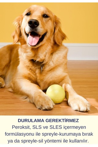 Tr Ayrex Köpek Koku Giderici Köpek Ağız Kokusu Köpek Zindelik Köpek Bakım Pet 750ml - Ağız Diş Bakım Spreyi