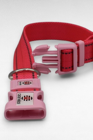 Caramelos Reflektörlü Köpek Tasması, Kişiye Özel Köpek Tasması. Büyük Ive Orta Irk Köpek Tasması Pmb Pembe