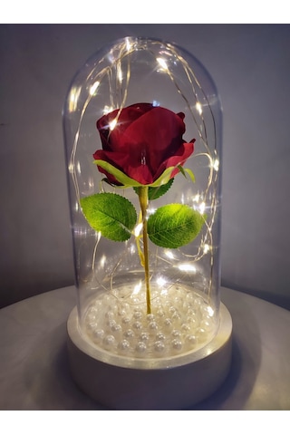 Tek Kırmızı Gül İşıklı Fanus