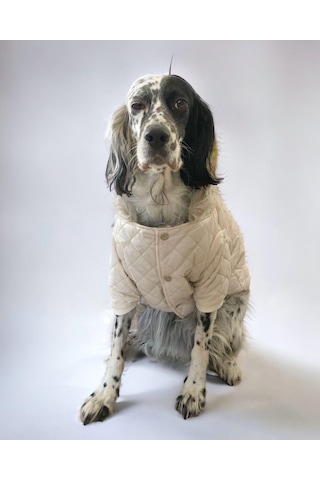 Kemique Cream Comfly Köpek Montu Orta Büyük Irklar İçin